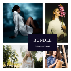Bloomstatic + Aetherbay + Veloura + Sunmoire — Presets Bundle