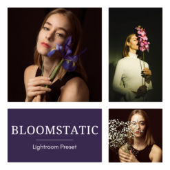Bloomstatic — Preset Trio
